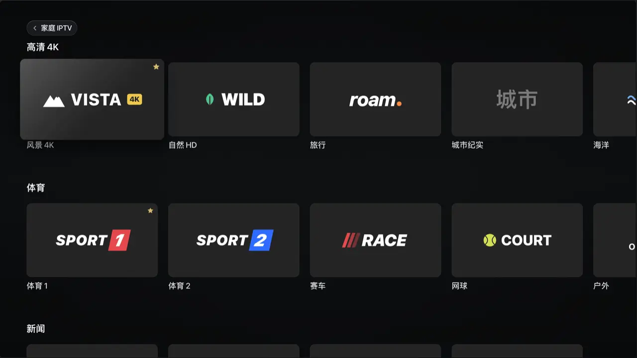 Revue 在 Apple TV 上的频道列表，按高清 4K、体育等分组